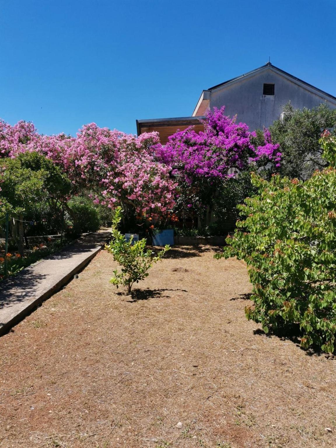 Vanja * Mali Losinj